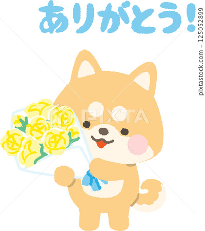 柴犬拿著一束黃色玫瑰 柴犬拿著一束黃色玫瑰 125052899