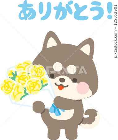 黑色柴犬拿著一束黃色玫瑰 125052901