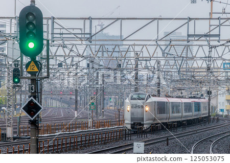 Shiosai Express E259 Series Shiosai Express E259 Series 125053075