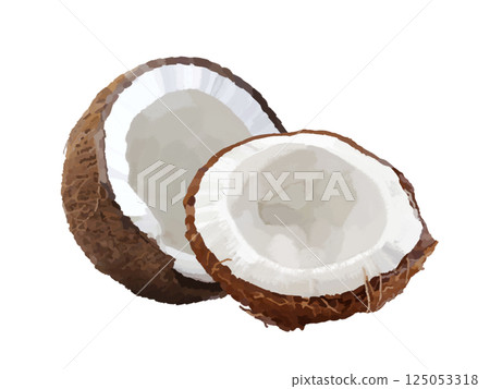 椰子果實（切塊） 125053318