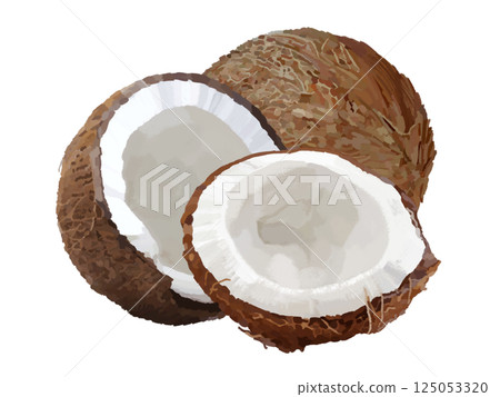 Coconut (2 pieces) 125053320