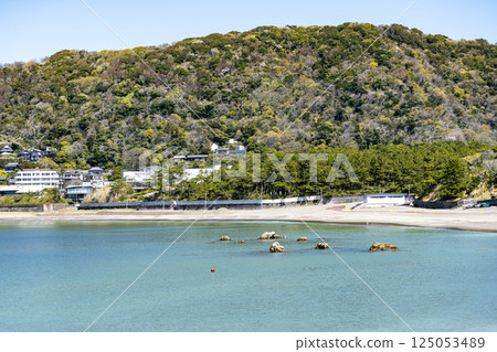 Fresh greenery at Migaokayama Green Space, Hayama Town, Kanagawa Prefecture 125053489