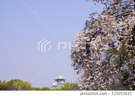 遠眺大阪城天守閣,秋葉在春天蔚藍的天空下閃閃發光 遠眺大阪城天守閣,秋葉在春天蔚藍的天空下閃閃發光 125053635