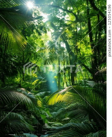 熱帶國家的叢林 熱帶國家的叢林 125054196