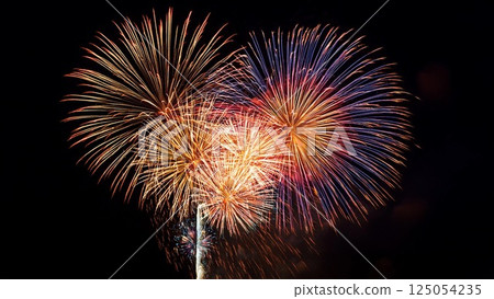 Fireworks blooming in the summer night sky 125054235