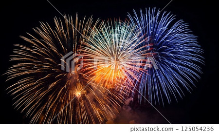 Fireworks blooming in the summer night sky 125054236