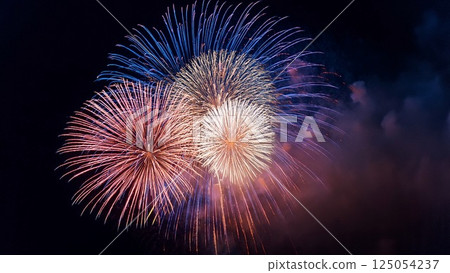 Fireworks blooming in the night sky 125054237
