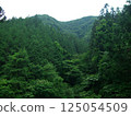 The beautiful scenery of Chichibu with its deep green trees 125054509