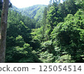The beautiful scenery of Chichibu with its deep green trees 125054514
