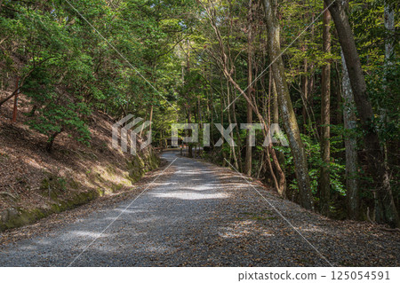 奈良市春日山原始森林的健行路線 125054591
