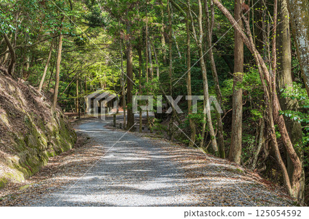 奈良市春日山原始森林的健行路線 125054592