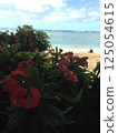 Hawaii: Beautiful flowers, sky and beaches 125054615