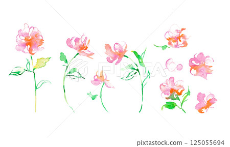 Watercolor painting. Vector pink flower illustration with watercolor touch. Vector illustration of plants. Flower cutout set. Watercolor painting. Vector pink flower illustration with watercolor touch. Vector illustration of plants. Flower cutout set. 125055694