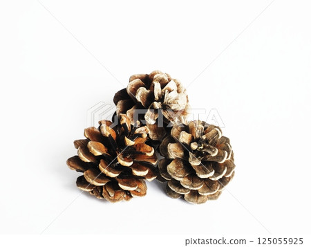 一排松果 125055925