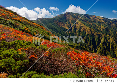 飯豐山脈主脊線和大日山的紅葉 125056235