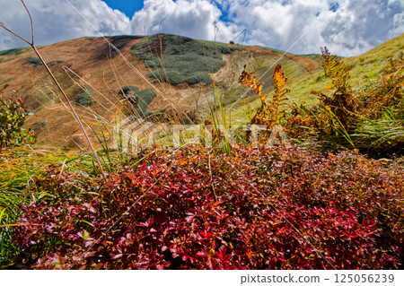 飯豐山脈主脊線和五西山的紅葉 125056239