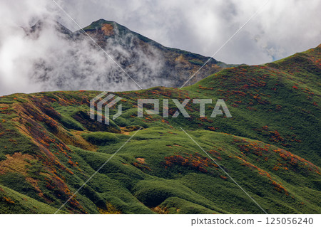 從飯豐山脈橫斷路線望去,大日山的山脊線雲霧繚繞 從飯豐山脈橫斷路線望去,大日山的山脊線雲霧繚繞 125056240