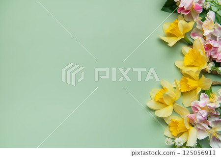 Daffodils and pink flowers creating a vibrant spring border on pastel green background Daffodils and pink flowers creating a vibrant spring border on pastel green background 125056911