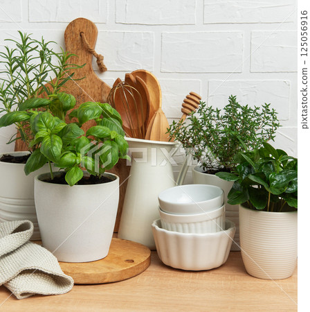 Fresh herbs growing in pots, kitchen utensils, and white crockery creating a cozy kitchen atmosphere Fresh herbs growing in pots, kitchen utensils, and white crockery creating a cozy kitchen atmosphere 125056916
