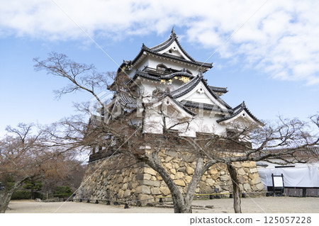 藍天和彥根城 藍天和彥根城 125057228