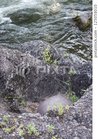 Takatsudo Gorge potholes: Holes with round stones remaining and the Watarase River / Midori City, Gunma Prefecture 125058010