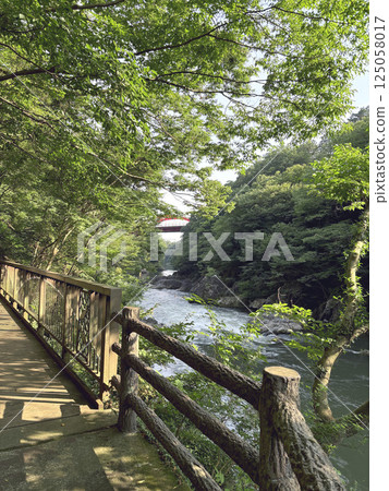 Takatsudo Gorge in the Watarase Valley / Promenade along the Watarase River / Omama, Midori City, Gunma Prefecture Takatsudo Gorge in the Watarase Valley / Promenade along the Watarase River / Omama, Midori City, Gunma Prefecture 125058017