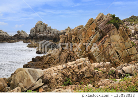Tokunoshima Mushirose (Kagoshima Prefecture) 125058038