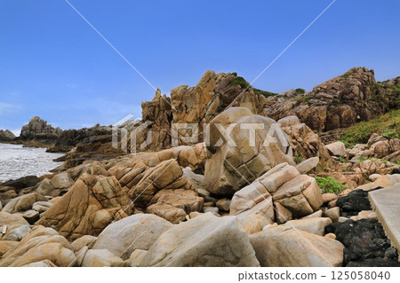 Tokunoshima Mushirose (Kagoshima Prefecture) 125058040