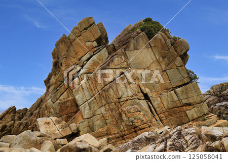 Tokunoshima Mushirose (Kagoshima Prefecture) Tokunoshima Mushirose (Kagoshima Prefecture) 125058041