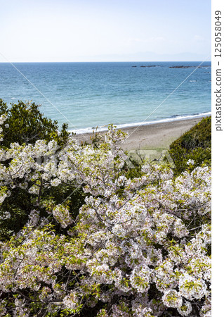 Coastal scenery of Hayama Town, Kanagawa Prefecture Coastal scenery of Hayama Town, Kanagawa Prefecture 125058049