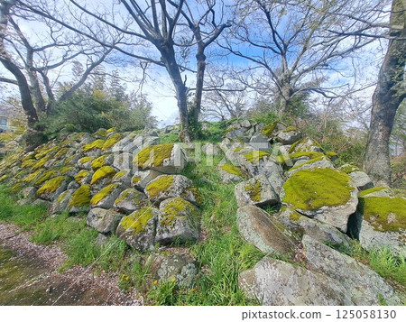 大溝城遺址 125058130