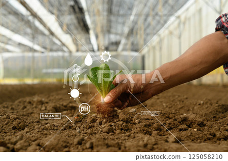 Farmer holding young seeding with with digital smart farming interface 125058210