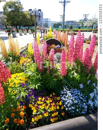 Colorful spring flower bed Colorful spring flower bed 125058353