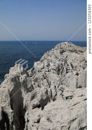 白崎海洋公園的純白色石灰岩和壯麗的海洋（日本和歌山縣日高郡） 125058365