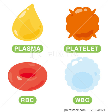 Illustration set of cells contained in blood English 125058421