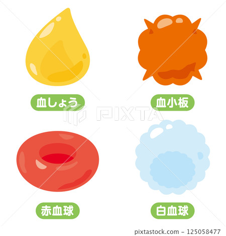 Illustration set of cells contained in blood Japanese Illustration set of cells contained in blood Japanese 125058477