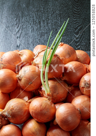 發芽的洋蔥 發芽的洋蔥 125058828