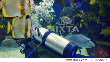 Oxygen tank releasing bubbles, attracting colorful tropical fish swimming around, creating vibrant underwater aquarium environment. Exciting dives into the underwater world 125058834