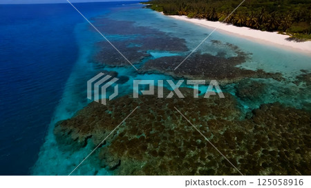 Turquoise waters caressing powdery white shoreline, revealing colorful coral reef ecosystem with marine life flourishing near coastal shallow waters of tropical destination 125058916