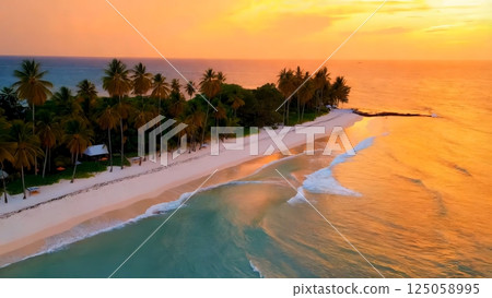 Radiant sunlight illuminating lush tropical shore, golden rays caressing swaying palms and shimmering ocean surface, embodying pristine coastal tranquility and vibrant island landscape 125058995