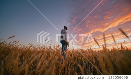 Weathered farmer surveying ripening wheat field, golden sunset illuminating agricultural landscape with tranquil contemplation of seasonal promise. concept of agriculture Weathered farmer surveying ripening wheat field, golden sunset illuminating agricultural landscape with tranquil contemplation of seasonal promise. concept of agriculture 125059096