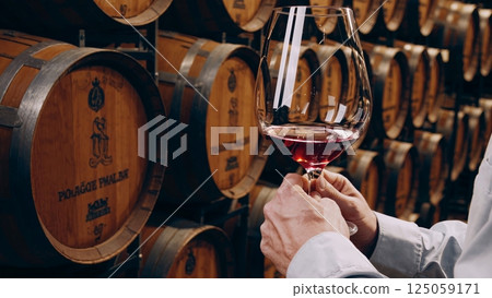 Skilled sommelier swirling red wine, evaluating color and clarity near aging oak barrels in dimly lit winery cellar, highlighting wine expertise Skilled sommelier swirling red wine, evaluating color and clarity near aging oak barrels in dimly lit winery cellar, highlighting wine expertise 125059171