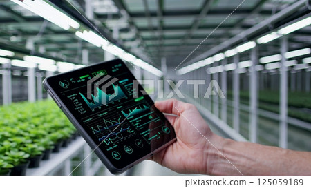 Agricultural expert monitoring crop development, holding digital tablet with growth analytics inside high tech greenhouse environment. Monitoring technologies in agricultural complex 125059189