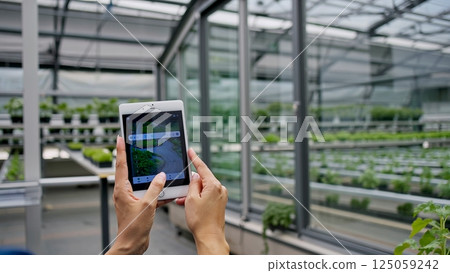 Agricultural professional checking tablet while standing in high tech greenhouse, managing crop growth through digital monitoring systems 125059242