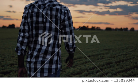 Young agricultural professional walking through lush soybean plantation during golden sunset, surveying cultivated land with quiet confidence and professional pride 125059344