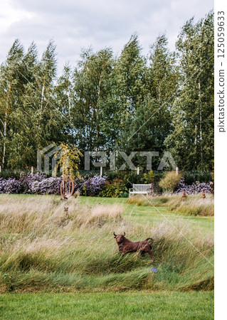 Sculpted bull figure standing in tall grass within a landscaped garden wildflowers, a bench, and a circular metal art installation. Garden sculpture, natural landscaping, rural design, outdoor art Sculpted bull figure standing in tall grass within a landscaped garden wildflowers, a bench, and a circular metal art installation. Garden sculpture, natural landscaping, rural design, outdoor art 125059633