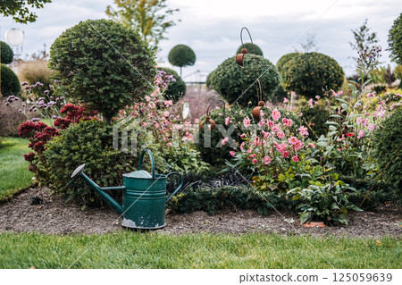 Green metal watering can beside neatly trimmed topiary in a blooming garden. Garden maintenance, sustainable landscaping, ornamental horticulture, home gardening 125059639