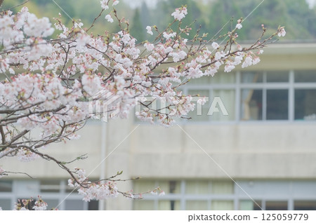 School building of memories 125059779