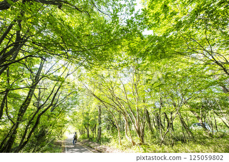 Fresh greenery and early summer cycling image (Hiruzen Plateau) 125059802