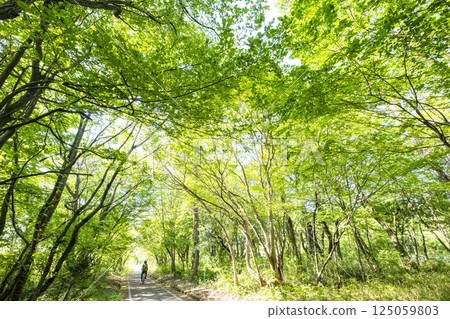 Fresh greenery and early summer cycling image (Hiruzen Plateau) 125059803